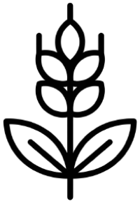 Wheat stalk outline icon